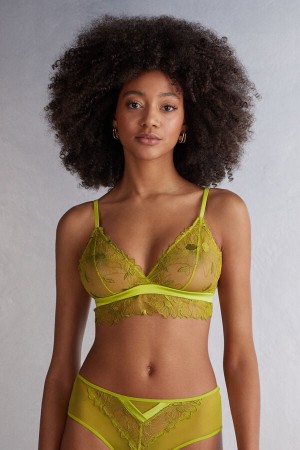 Sujetador Intimissimi Sweet Like Sugar Triangle Mujer Verde | JHONU2856