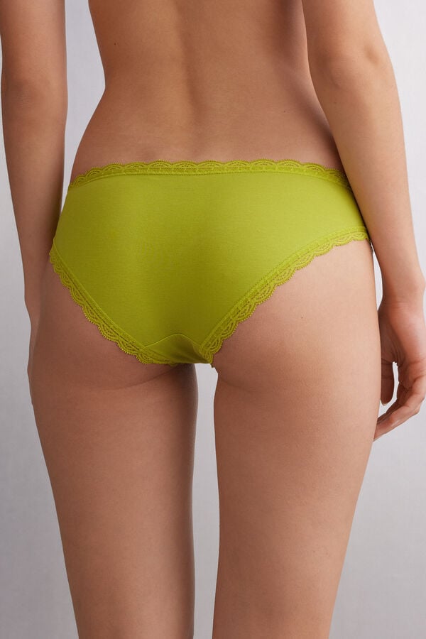 Bragas Intimissimi Cotton And Lace Mujer Verde | VKZYL5270